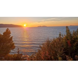 Apartament dla 4-6 osób we Wlorze z widokiem na morze