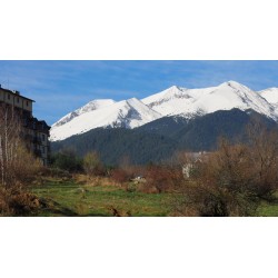 Komfortowy Apartament dla 4 Osób w Bansko, Bułgaria